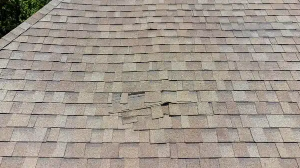 Roof shingle damage