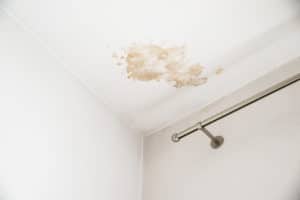 mold on the ceiling sign of leaking roof