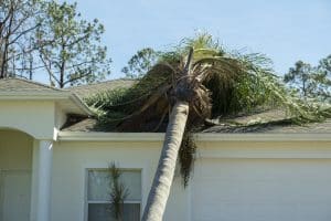 Tree damage to home rooftop after hurricane